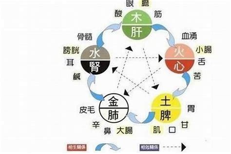 八字無水|五行缺水如何補救，很多人並不知道補水還有這些方法。